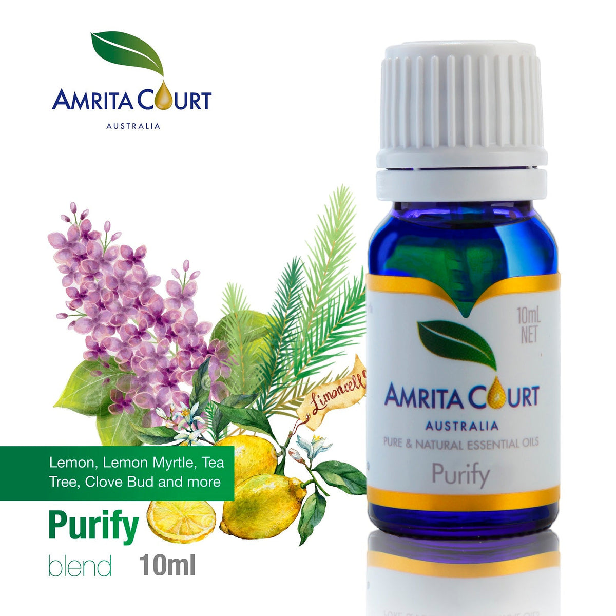 No Germ Duo Bundle | Purify + Breathe Easy Essential Oil Pair for Clean Air & Respiratory Support